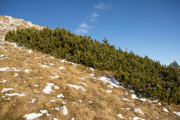 Julian Alps Slovenia, peak Debela Pec 2014 m, winter hiking in Triglav with snowy peaks and mist 