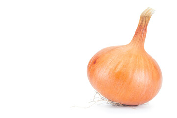 Ripe unpeeled onion bulb close up on white background