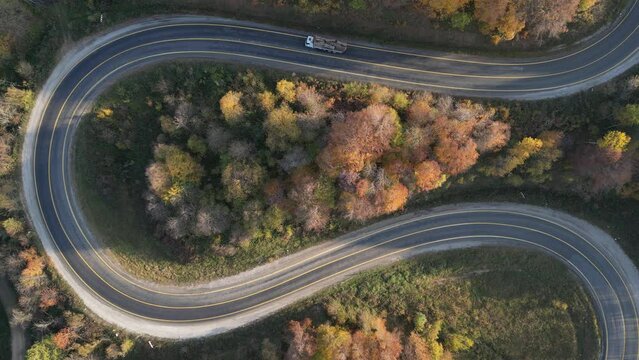 Aerial view of road amidst trees during autumn	