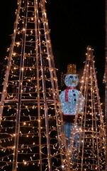 Mu&ntilde;eco de luces