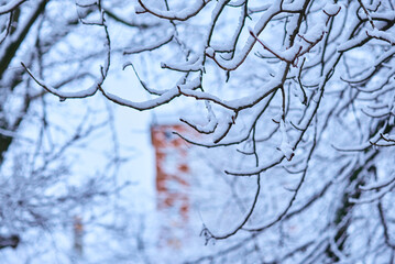 White winter landscape on a city street. Tree branches covered with snow. Frosty air. Cold weather. Sledding and skiing season.