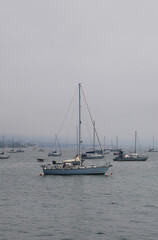 Fototapeta na wymiar Sailboats standing in front of the coast of Santa Barbara, California, near Stearns Wharf.