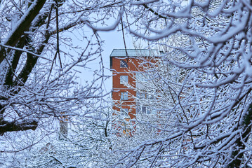 White winter landscape on a city street. Tree branches covered with snow. Frosty air. Cold weather. Sledding and skiing season.