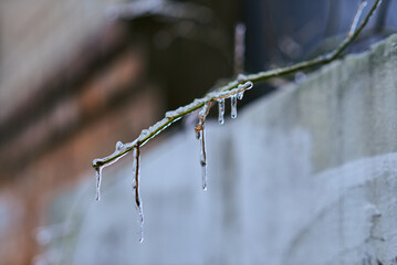 White winter landscape on a city street. Tree branches covered with snow. Frosty air. Cold weather. Sledding and skiing season.