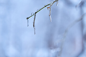 White winter landscape on a city street. Tree branches covered with snow. Frosty air. Cold weather. Sledding and skiing season.