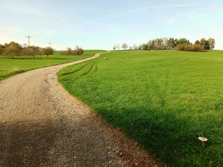 Feldweg mit Wiese und Bäumen im Herbst auf dem Wanderweg Traumtour Diamant bei Brücken in der Verbandsgemeinde Oberes Glantal im Landkreis Kusel, Rheinland-Pfalz.