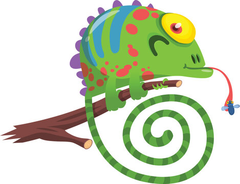 Vector cute African animal. Chameleon. Funny character for kids. Isolated element for stickers, cards
