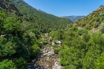 The beautiful Golo river on a summer morning, in northern Corse, France.