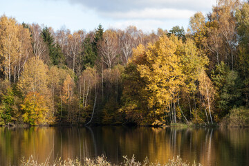 Lake with trees on the shore with yellowed foliage in autumn in sunny weather.