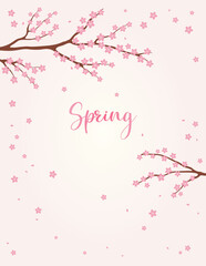 Traditional Asian background with sakura blossoms, flowers, cherry tree branches in bloom. Oriental, eastern style vector illustration. Design concept for spring promotion, seasonal sale, advertising.