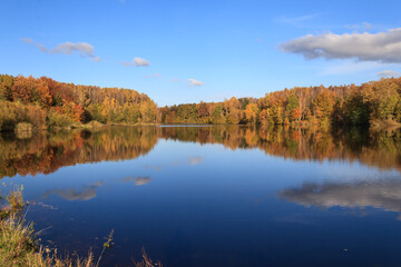 Lake with trees on the shore with yellowed foliage in autumn in sunny weather.
