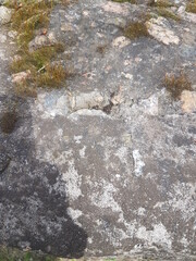 moss on the rocks