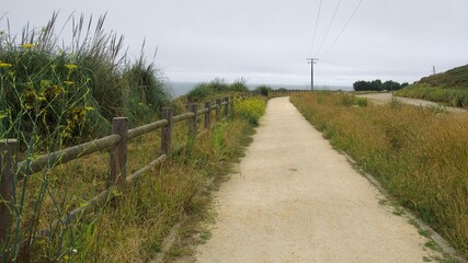 Fototapeta premium path in the field