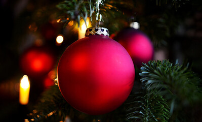 christmas red balls on fir branches, festive winter season background