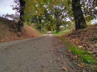 Route campagnarde au milieu de l'automne.