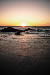 capetown vibes