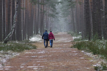 People in love on a walk in the winter forest.