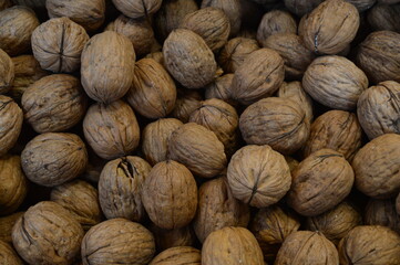Group of Shelled Walnuts