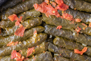 Delicious dolma (sarma) stuffed grape leaves rice, white yogurt sauce. Lebanese dolma sarma on plate. Lebanon turkish greek middle eastern cuisine. (Turkish name; Yaprak sarma)