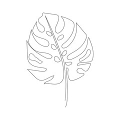 One line continuous tropical exotic monstera leaf. Botanical isolated illustration  - 548842896