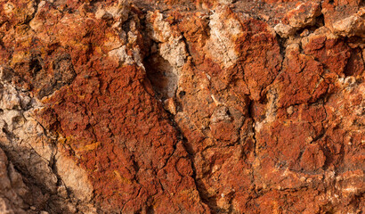 Sedimentary rocks with a high content of iron oxide. Red soil, loam. The texture of the soil.