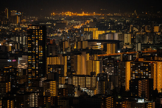 View From Umeda Sky Building 