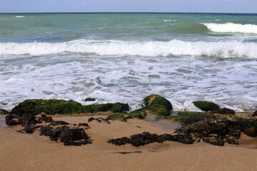 Stones on the shore of the Mediterranean Sea.