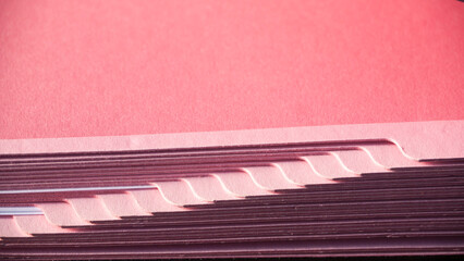 Carpeta rosa con separadores de cartón y pestañas