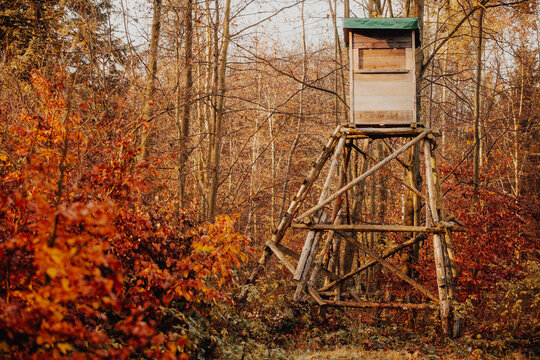 Hunt observatory in the forest, hunting period, autumn season, hunting and people concept