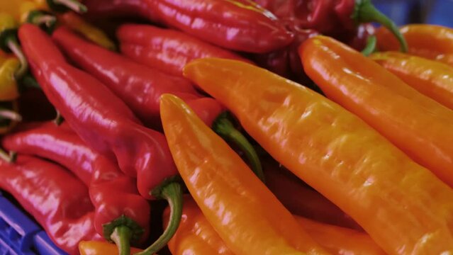 Ramiro pepper in shop close up. Red sweet peppers on a market, paprika, vegetable background