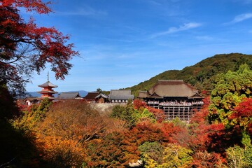 Fototapeta premium Kyoto Japan - Kiyomizu Dera Temple
