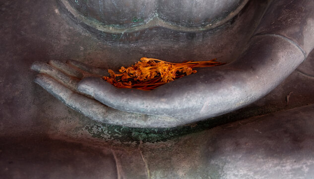 flowers as an offering in the hands of buddha