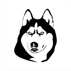 Husky head symbol. Siberian Husky face on white background. minimal vector illustration eps10