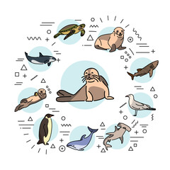 Sea animals web banner. Infographics with linear icons