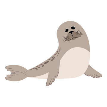 Seal. Illustration on a white background.