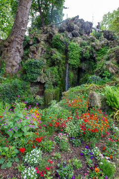 Pelargonium and other flowers in flower bed in park Monceau in Paris