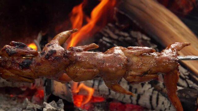 Delicious fresh quail carcasses on the skewer are frying above the open fire
