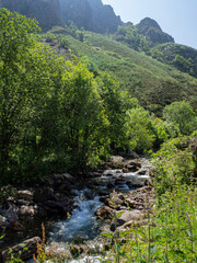 Fototapeta na wymiar Paisaje de naturaleza con montaña al fondo y con árboles verdes a la orilla del río que se desliza veloz entre las piedras, en el verano de 2021 Asturias, España.
