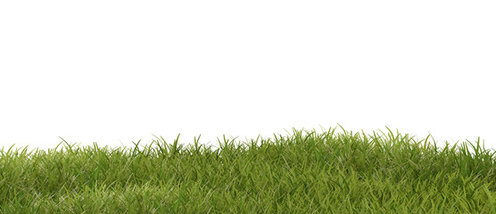 green grass, meadow, single blades of grass 3d-illustration