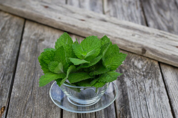 green bouquet of fresh mint leaves in glass cup on wooden table