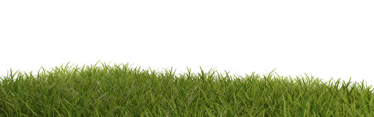 green grass, meadow, single blades of grass 3d-illustration