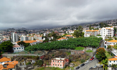 Fototapeta premium view over funchal village on madeira island
