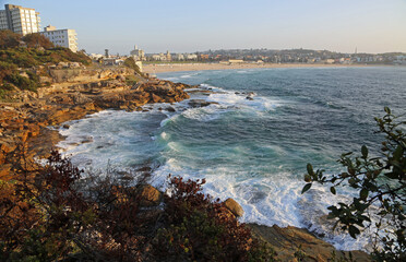 Marks Park on Pacific - Sydney, Australia