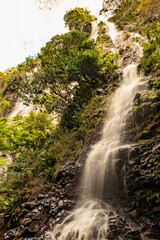 Fototapeta na wymiar waterfall in the forest. WATERFALL JABUTICABA, BRAZIL