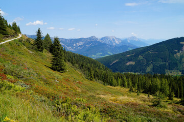 Fototapeta premium a hiking trail overlooking the picturesque alpine landscape by the foot of Dachstein mountain in the Austrian Alps of the Schladming-Dachstein region (Steiermark or Styria, Austria)