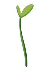 Sunflower growth stage, small sprout. Agriculture plant development. Harvest animation progression phase