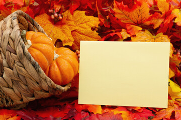 Naklejka na ściany i meble Blank greeting card with autumn leaves with a cornucopia and pumpkins