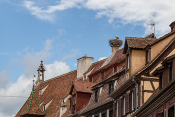 Fototapeta na wymiar French village in the Alsace area with several Storks in a nest on a roof
