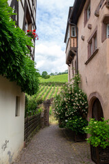 Fototapeta na wymiar Small towns in France in the Alsace area, in vineyard areas.
