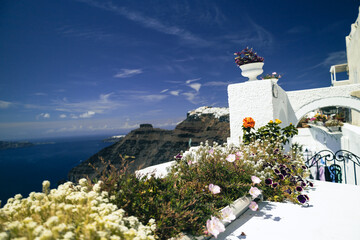 Flowers in Fira with Caldera view, Santorini